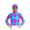 Jockey Silk