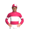 Jockey Silk