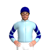 Jockey Silk