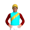 Jockey Silk