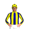 Jockey Silk