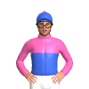 Jockey Silk