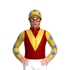 Jockey Silk