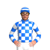 Jockey Silk