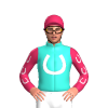 Jockey Silk