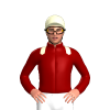 Jockey Silk