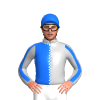 Jockey Silk