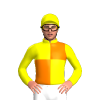 Jockey Silk