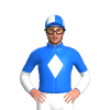 Jockey Silk