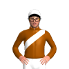 Jockey Silk