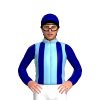 Jockey Silk