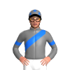 Jockey Silk