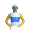 Jockey Silk