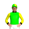Jockey Silk