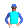 Jockey Silk