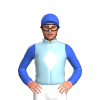 Jockey Silk