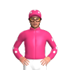Jockey Silk