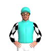 Jockey Silk