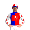 Jockey Silk