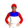 Jockey Silk