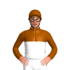 Jockey Silk