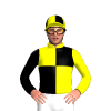 Jockey Silk