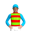 Jockey Silk