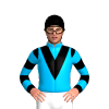 Jockey Silk