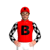 Jockey Silk