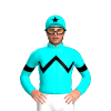 Jockey Silk