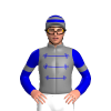Jockey Silk
