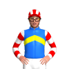 Jockey Silk
