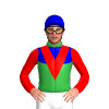 Jockey Silk