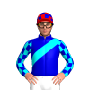 Jockey Silk
