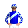 Jockey Silk