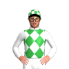 Jockey Silk