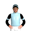 Jockey Silk