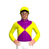 Jockey Silk