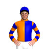 Jockey Silk