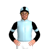 Jockey Silk