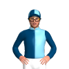 Jockey Silk
