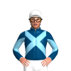 Jockey Silk