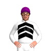 Jockey Silk