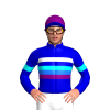 Jockey Silk