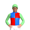 Jockey Silk