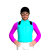 Jockey Silk