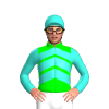 Jockey Silk