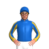 Jockey Silk