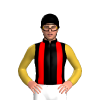 Jockey Silk