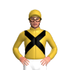Jockey Silk